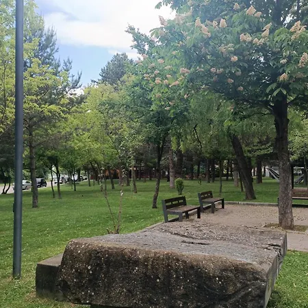 Parkview Korce